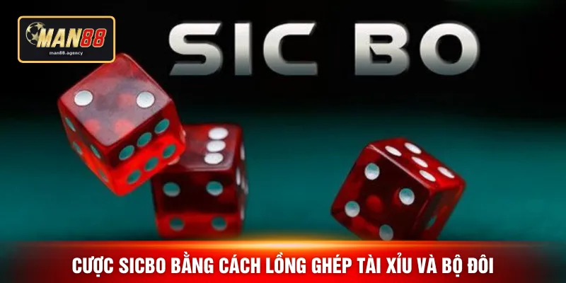 Cược Sicbo bằng cách lồng ghép tài xỉu và bộ đôi