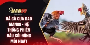 Đá Gà Cựa Dao MAN88 - Hệ Thống Phiên Đấu Sôi Động Mỗi Ngày