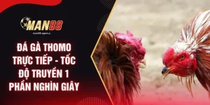 Đá Gà Thomo Trực Tiếp - Tốc Độ Truyền 1 Phần Nghìn Giây