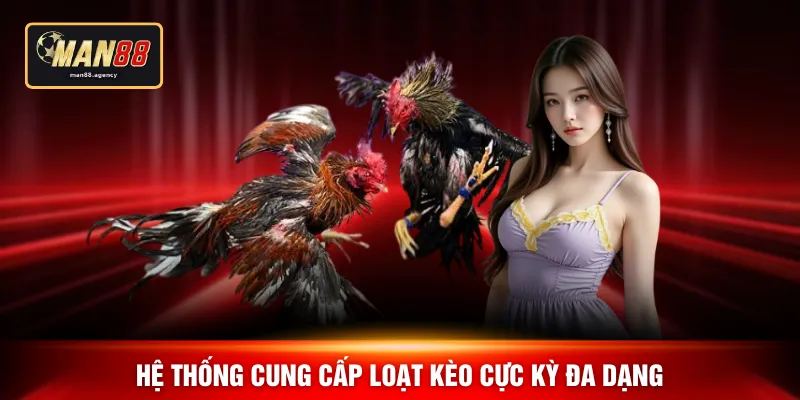 Hệ thống cung cấp loạt kèo cực kỳ đa dạng