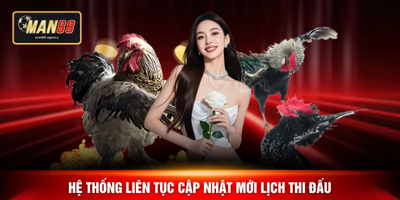 Hệ thống liên tục cập nhật mới lịch thi đấu