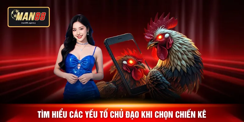 Tìm hiểu các yếu tố chủ đạo khi chọn chiến kê