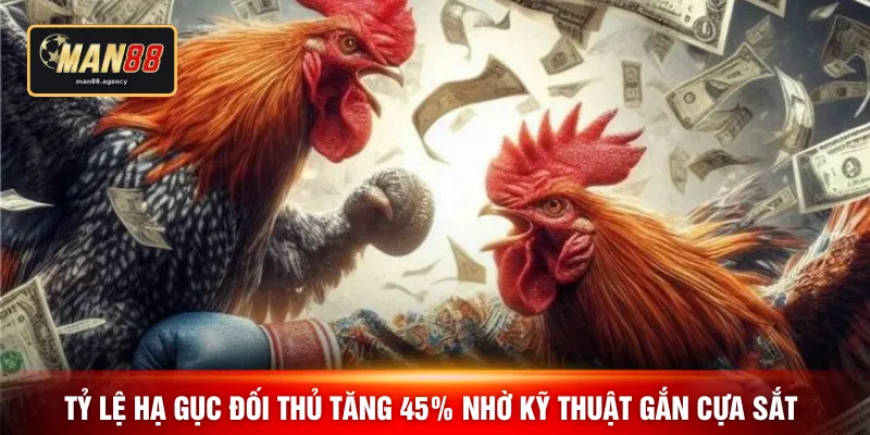 Tỷ lệ hạ gục đối thủ tăng 45% nhờ kỹ thuật gắn cựa sắt 