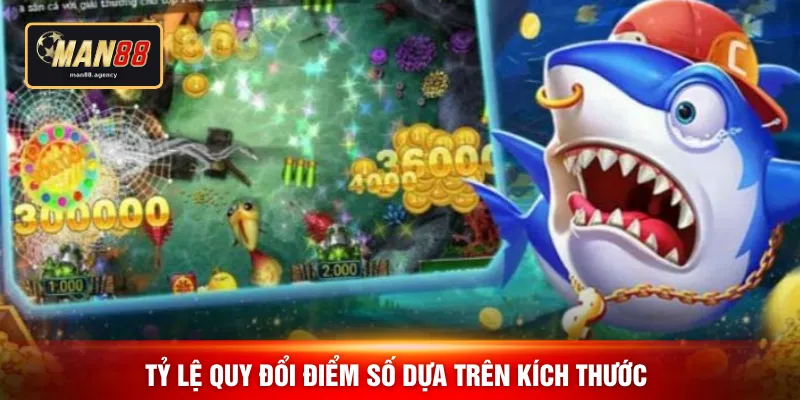 Tỷ lệ quy đổi điểm số dựa trên kích thước